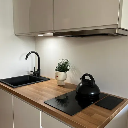 Apartament Futura Z Ogrodkiem - Parking - Niania * 格但斯克